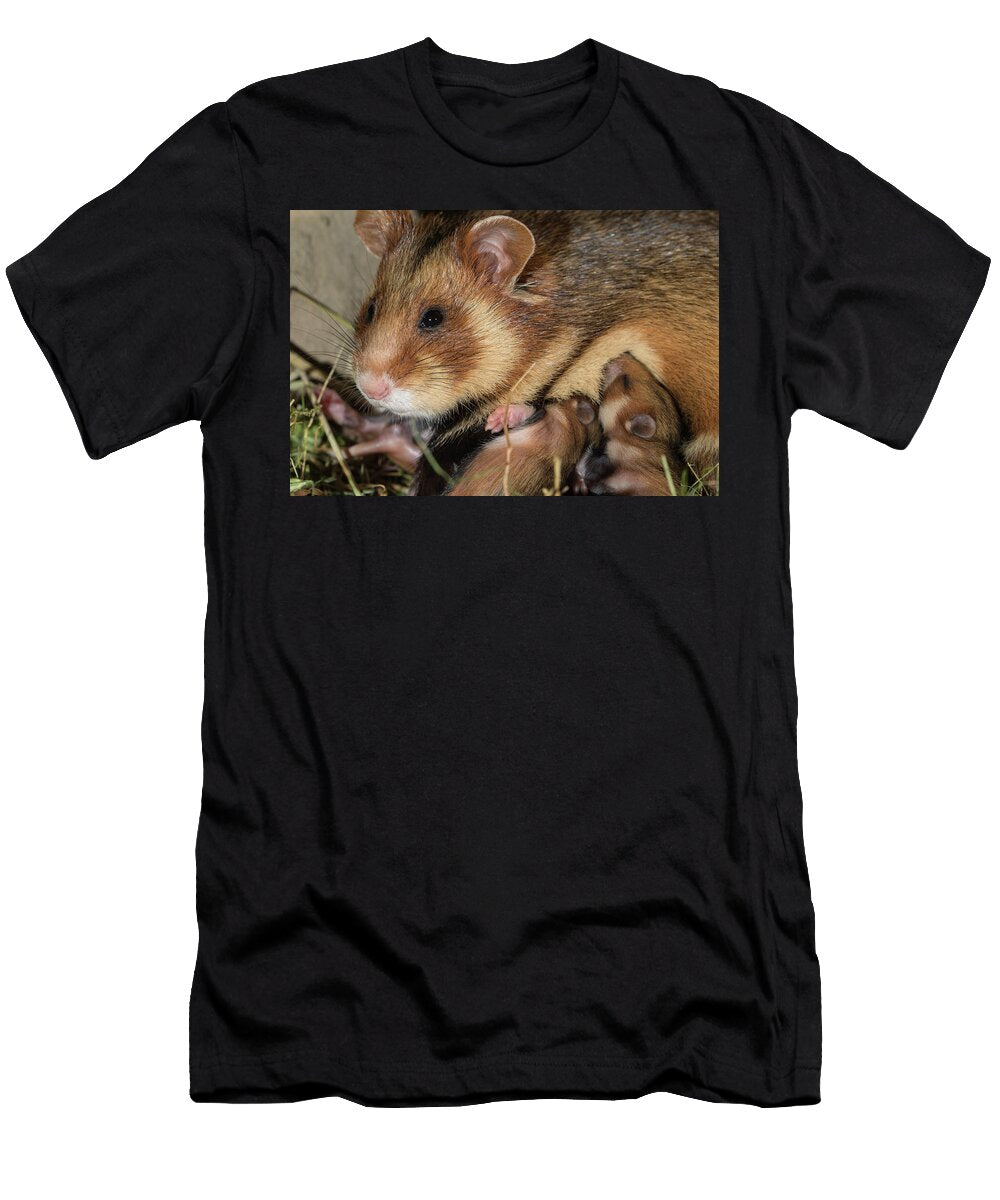 European Hamster Female Suckling 11 Day Pups in Burrow Kerstin Hinze Natureplcom T-Shirt