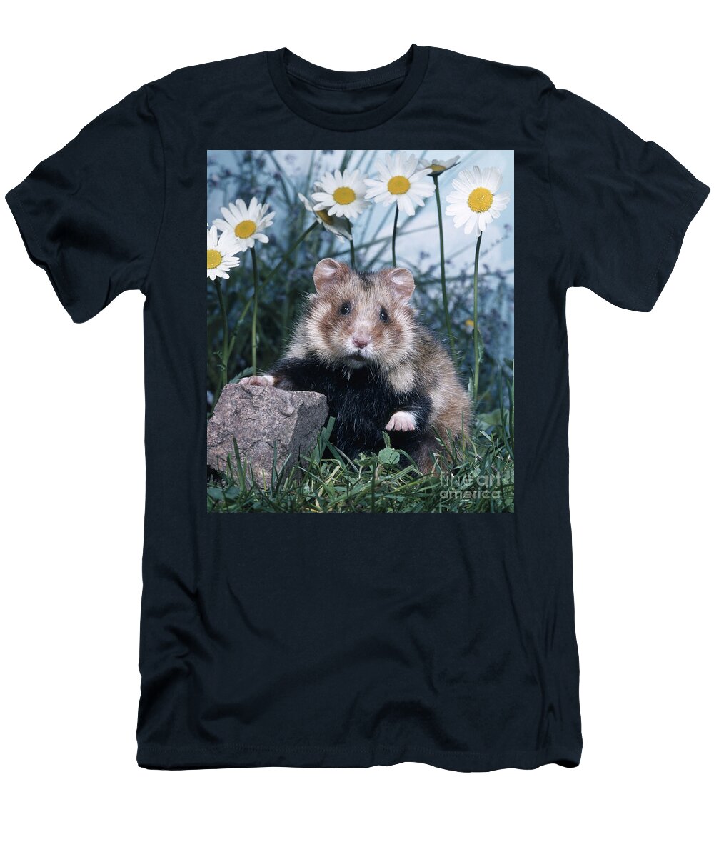 European Hamster Hans Reinhartokapia T-Shirt