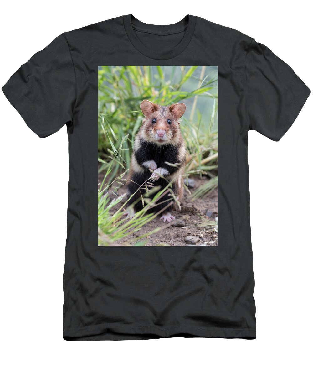 European Hamster in Meadow Kerstin Hinze Natureplcom T-Shirt