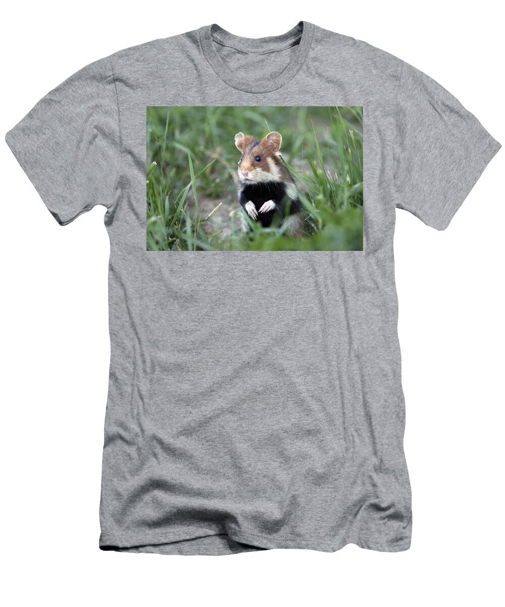 European Hamster M Watson T-Shirt
