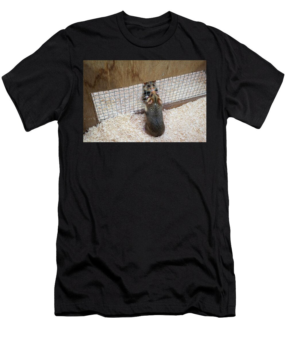 European Hamsters Interacting Through Fenced Enclosure Edwin Giesbers Natureplcom T-Shirt