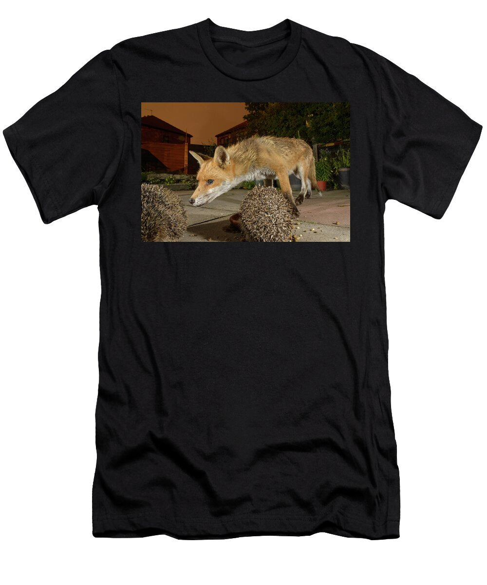 European Hedgehog and Red Fox in Urban Garden Manchester Terry Whittaker Natureplcom T-Shirt