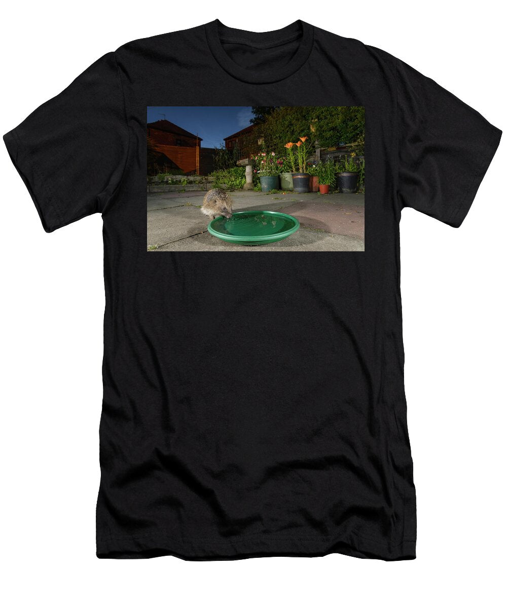 European Hedgehog Drinking From Bowl in Urban Garden Terry Whittaker Natureplcom T-Shirt