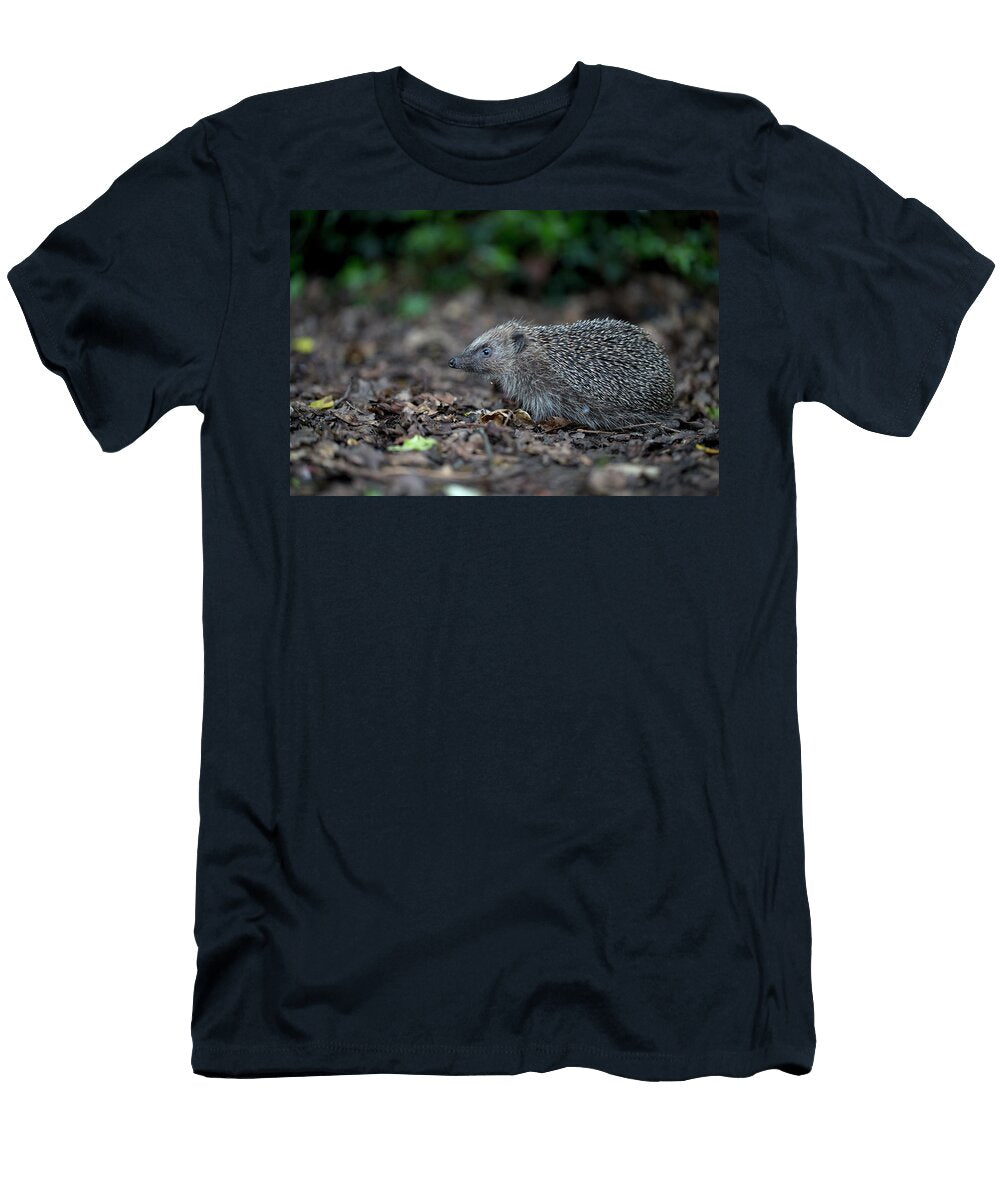 European Hedgehog Emerging From Undergrowth Norwich UK Robin Chittenden Natureplcom T-Shirt
