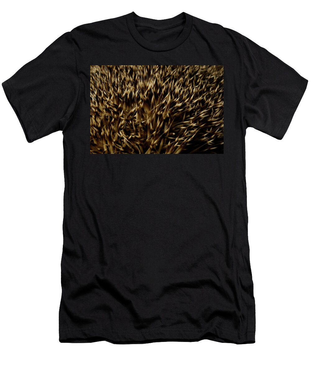 European Hedgehog Erinaceus Europaeus Aaron Ansarov T-Shirt