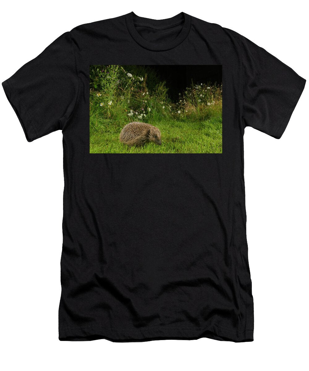 European Hedgehog Foraging At Night in an Urban Garden Terry Whittaker Natureplcom T-Shirt