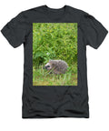 European Hedgehog Juvenile Jyvaskyla Central Finland Jussi Murtosaari Natureplcom T-Shirt