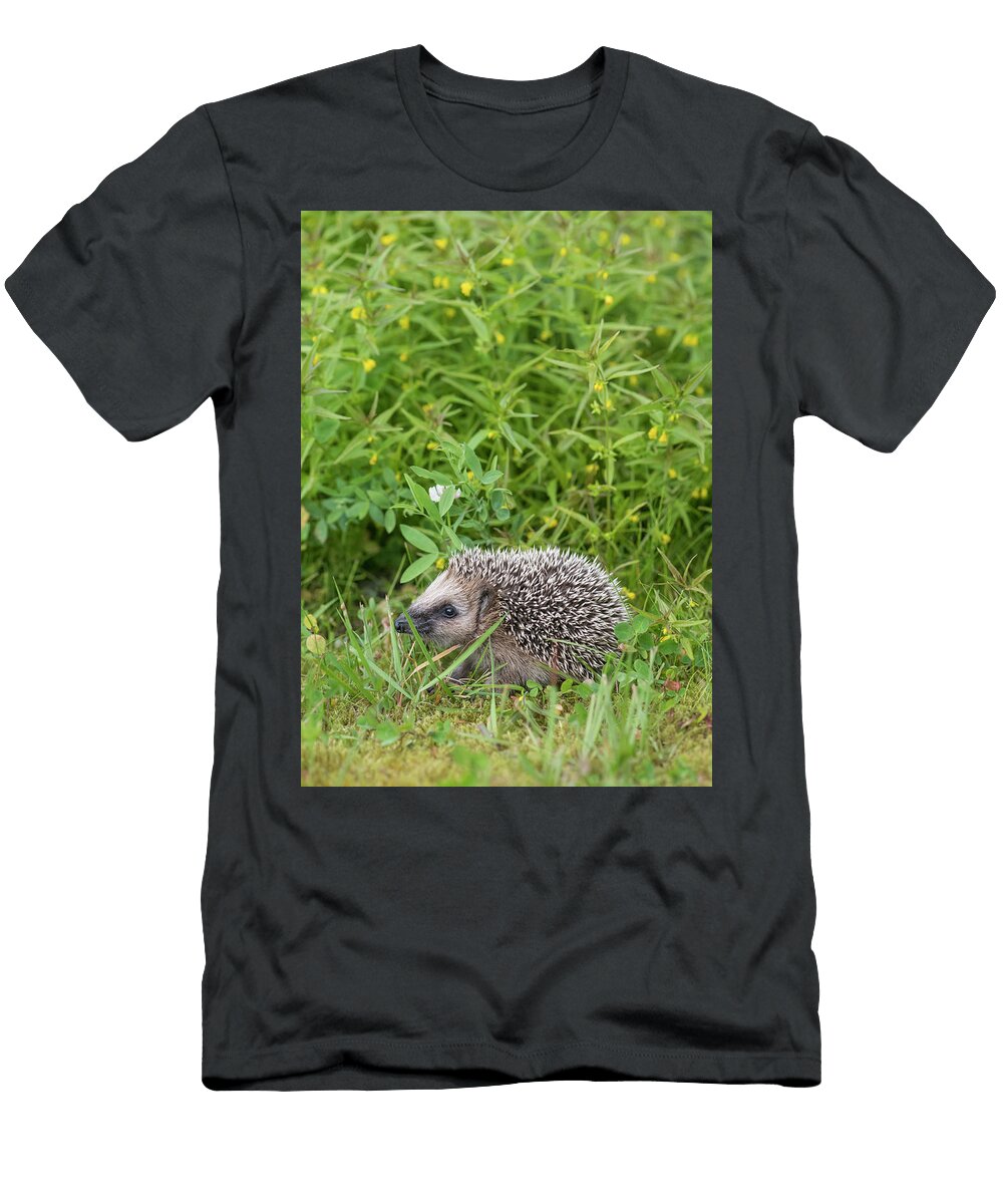European Hedgehog Juvenile Jyvaskyla Central Finland Jussi Murtosaari Natureplcom T-Shirt