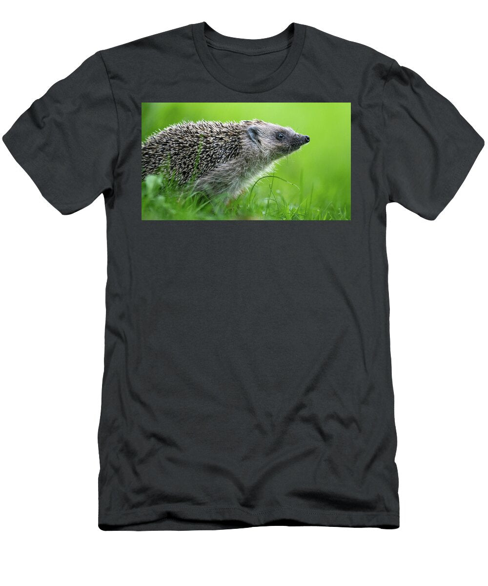 European Hedgehog Portrait Lucerne Switzerland Roman Willi Natureplcom T-Shirt