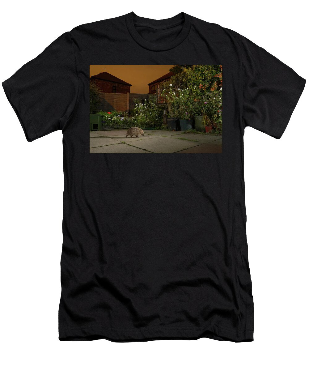 European Hedgehog Walking in Urban Garden At Night Terry Whittaker Natureplcom T-Shirt