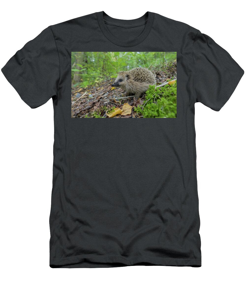 European Hedgehog Walking Through Forest Undergrowth Jussi Murtosaari Natureplcom T-Shirt