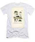 European Insectivores Hedgehog Shrews and Mole 1850 Lithography J W Tenhaeff T-Shirt