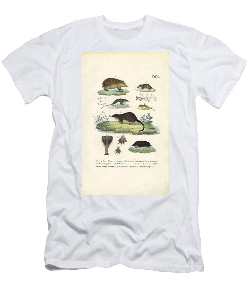 European Insectivores Hedgehog Shrews and Mole 1850 Lithography J W Tenhaeff T-Shirt