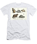 European Rodents Rats and Voles 1858 Lithography Heinrich Leutemann T-Shirt