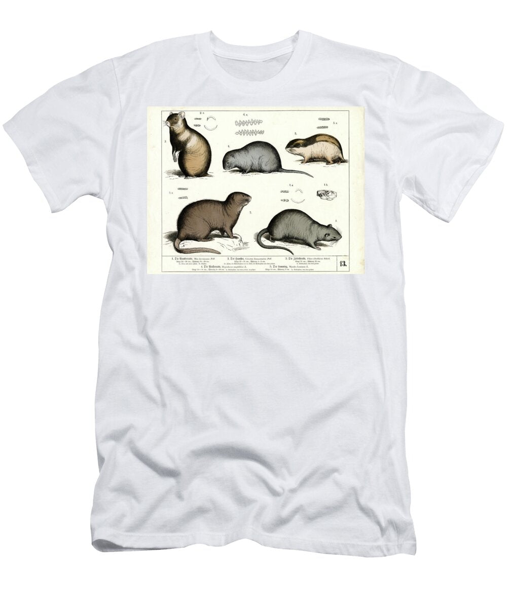 European Rodents Rats and Voles 1858 Lithography Heinrich Leutemann T-Shirt