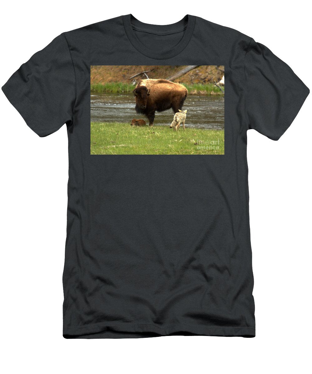 Eye on the Wylie Coyote Adam Jewell T-Shirt