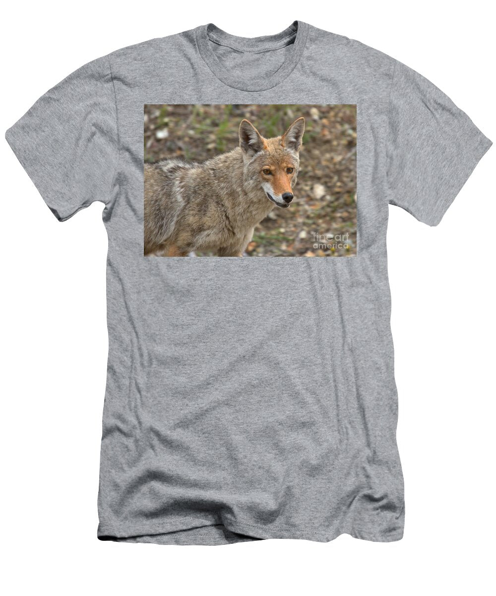 Face of the American Coyote Adam Jewell T-Shirt