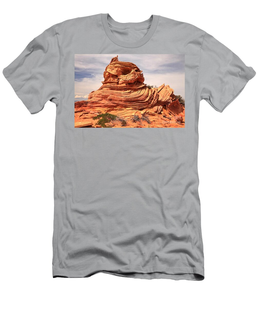Face of the Cat Adam Jewell T-Shirt