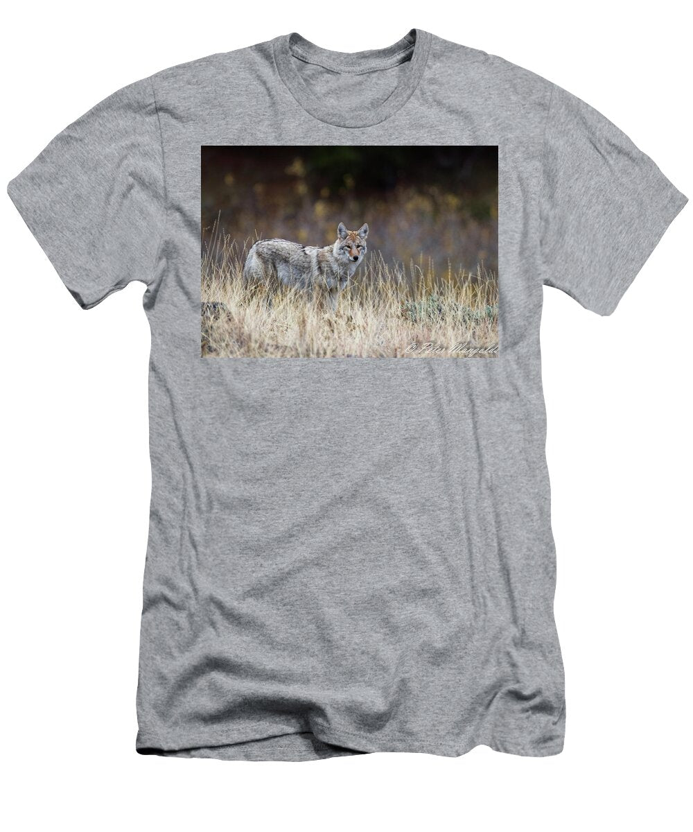 Fall Coyote Peter Mangolds T-Shirt