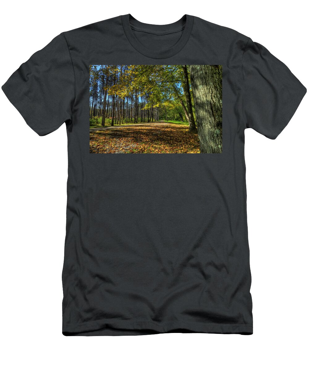 Fall Folliage Stroll David Dufresne T-Shirt