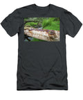 Fallen Log with Bark Stripped By a Beaver Bamff Estate Scotland the Big Picture Natureplcom T-Shirt