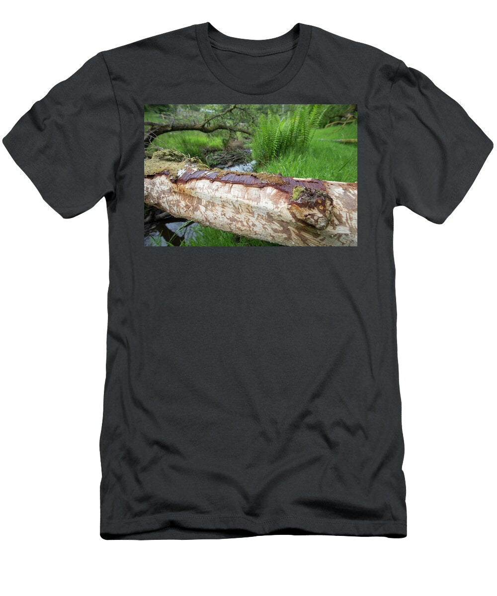 Fallen Log with Bark Stripped By a Beaver Bamff Estate Scotland the Big Picture Natureplcom T-Shirt