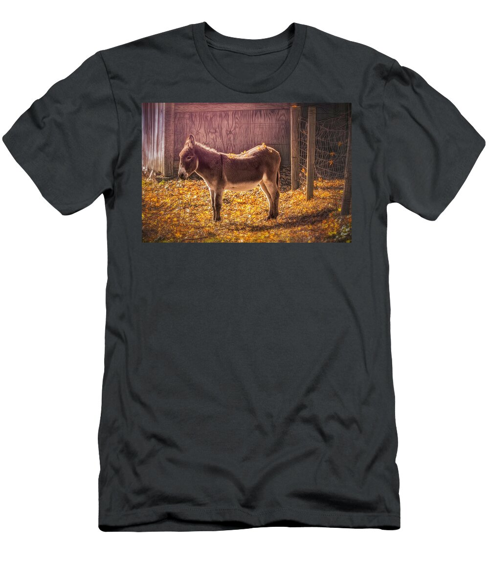 Falling Autumn Jim Love T-Shirt