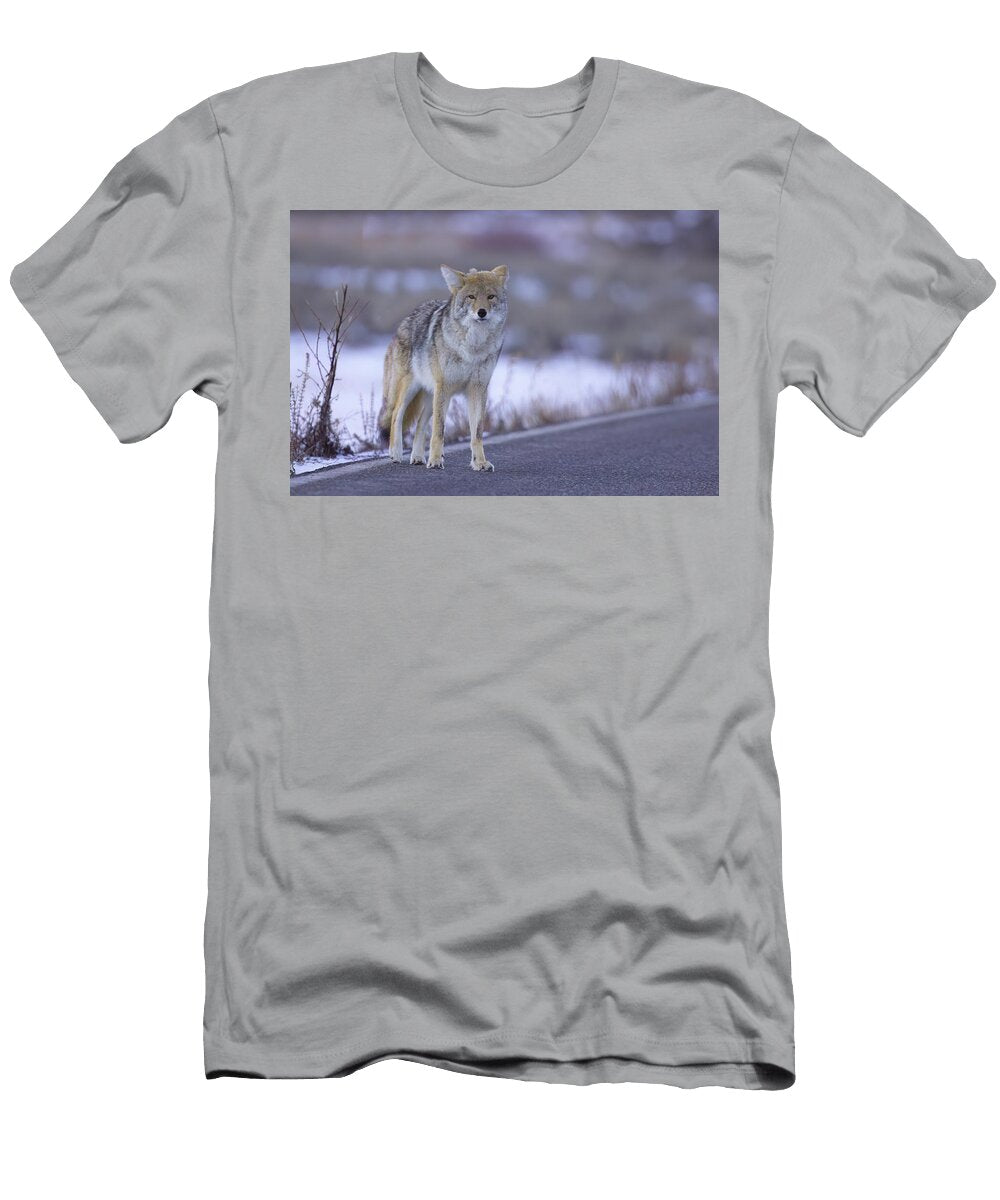 Famous Coyotetripod Isabella Smedley T-Shirt