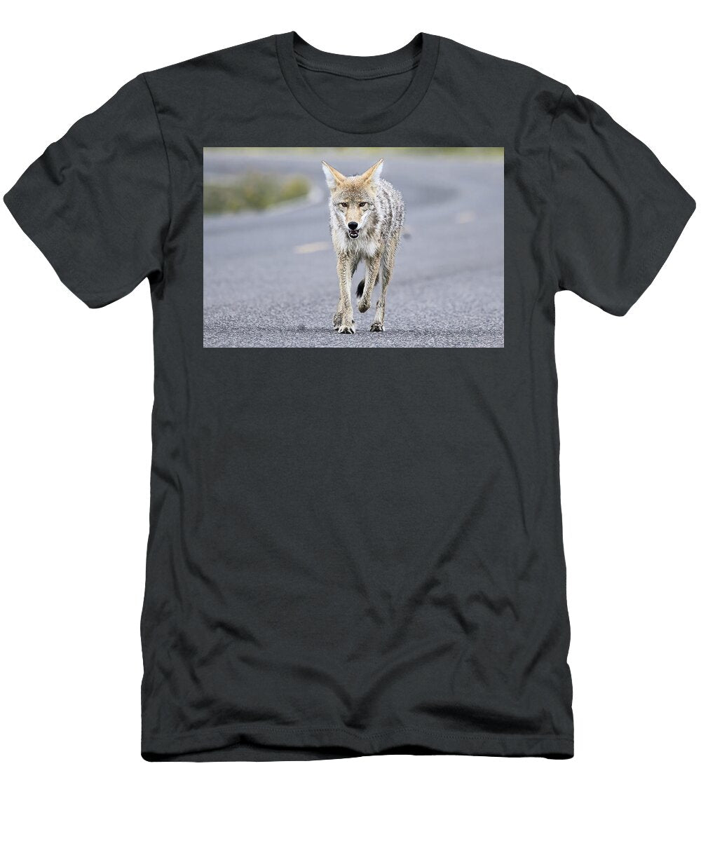 Famous Yellowstone Coyote Tripod Limpy Chesteron a Road in Yellowstonein Isabella Smedley Nature T-Shirt