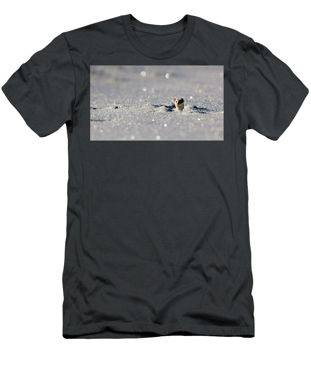 Fantastic Adorable Wild Ferret Snow Cover Ultra Hd Astonishing Arts T-Shirt