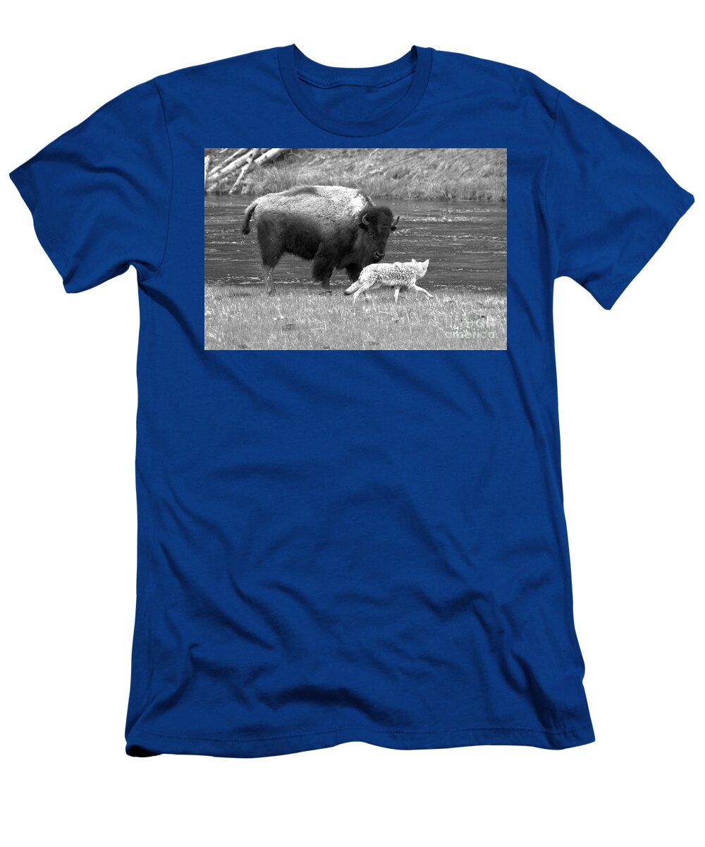 Fending Off the Aggressive Coyote Black and White Adam Jewell T-Shirt
