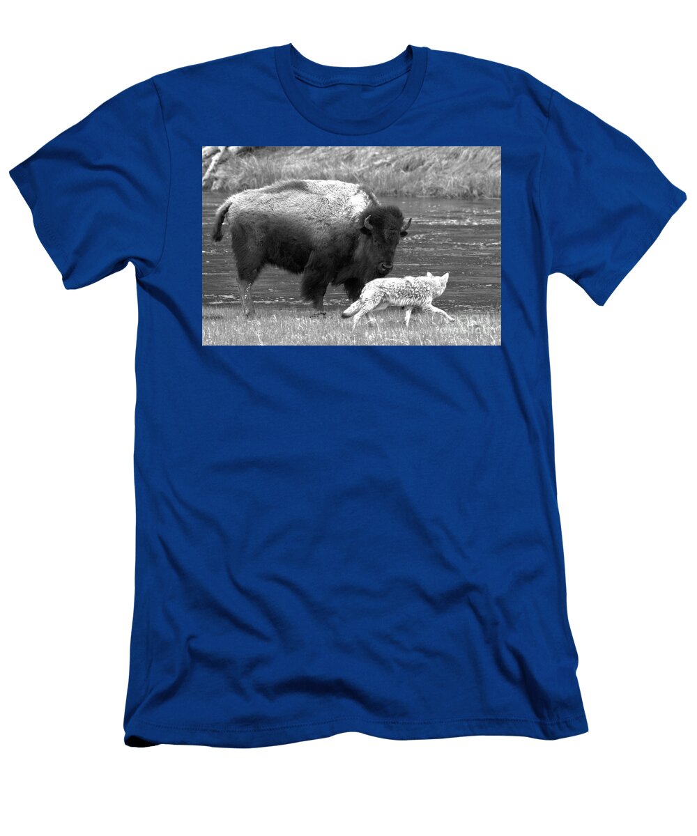 Fending Off the Coyote Black and White Adam Jewell T-Shirt