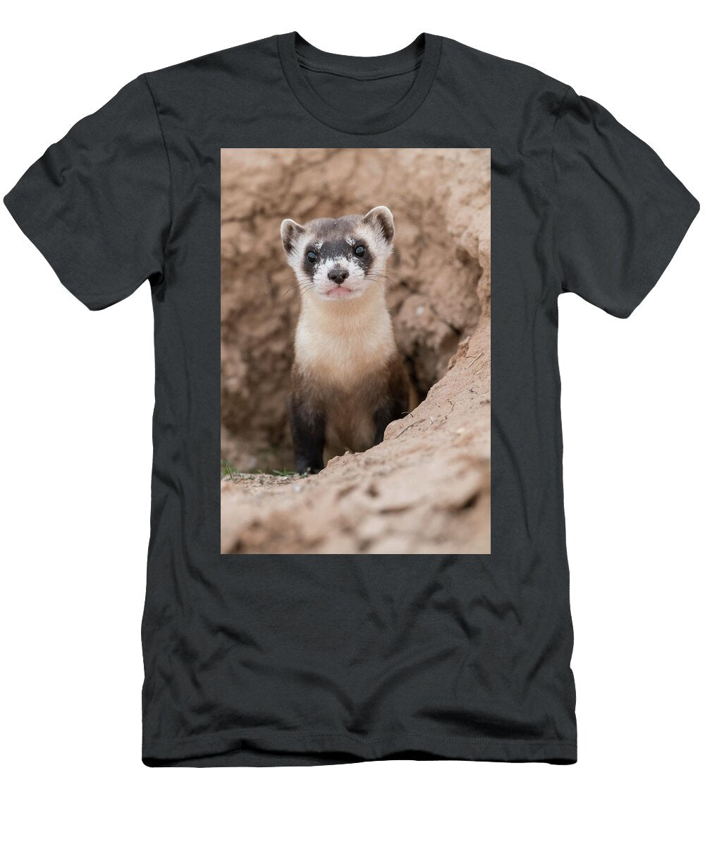Ferret Burrow Laura Romin T-Shirt