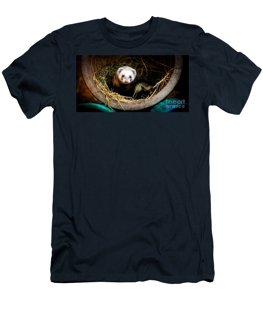 Ferret Home in Flower Pot Simon Bratt T-Shirt