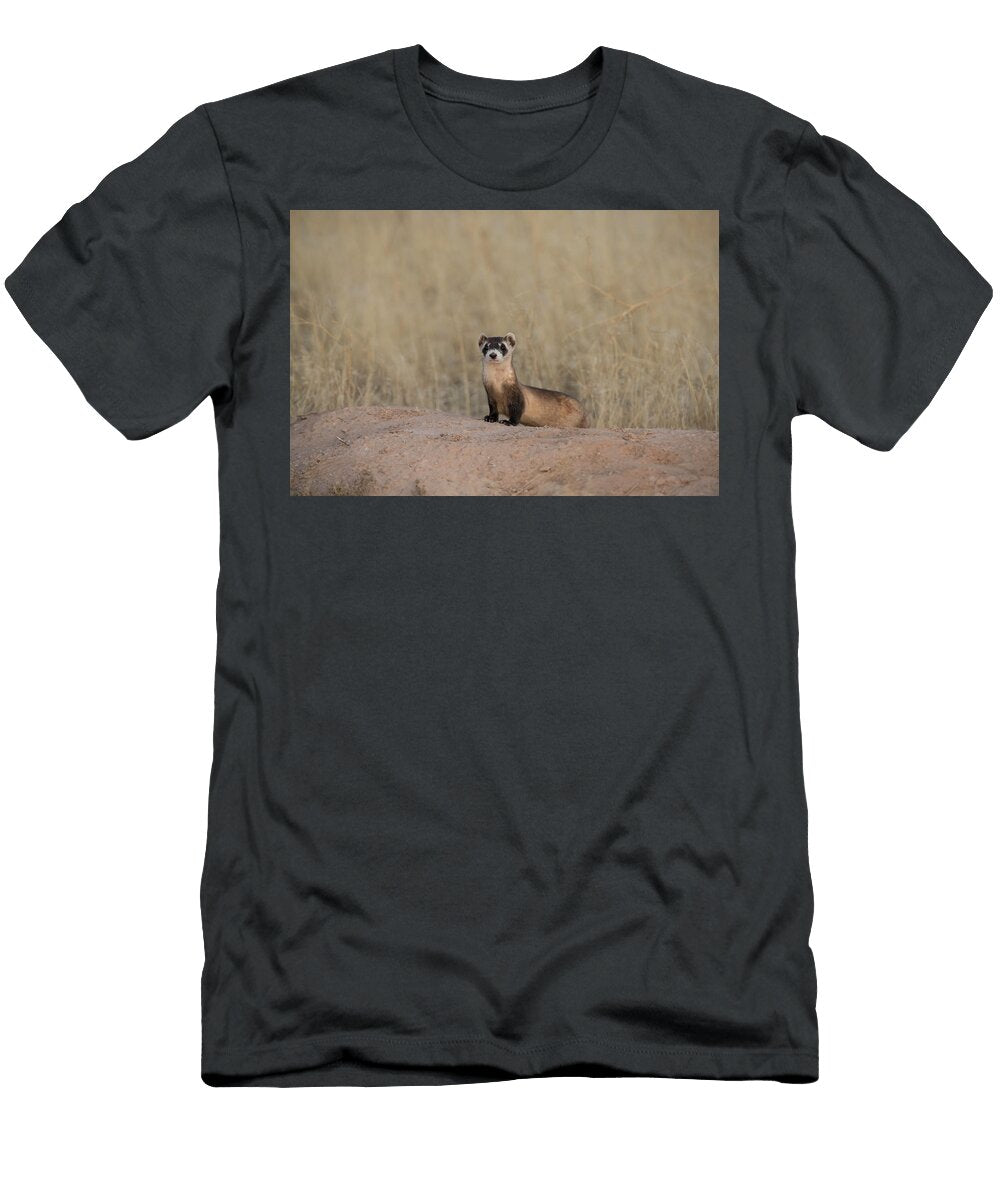 Ferret on Hill Laura Romin T-Shirt