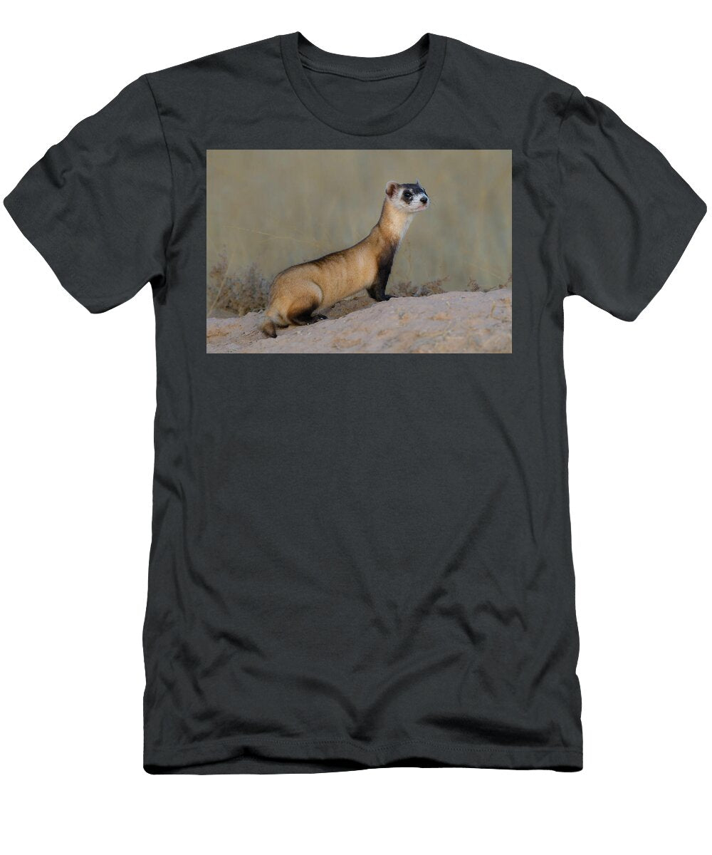 Ferret Profile Laura Romin T-Shirt