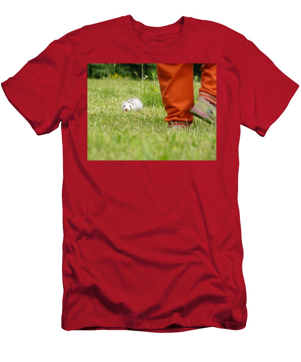 Ferrets and Kid Les Classics T-Shirt