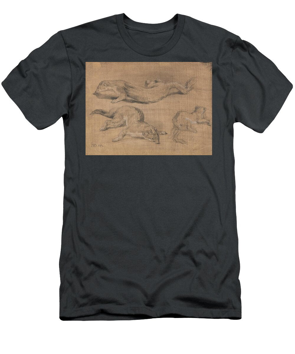 Ferrets James Ward English T-Shirt