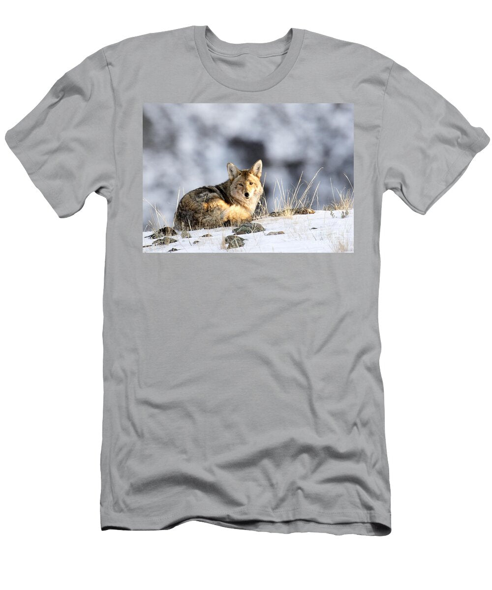 First Light Deby Dixon T-Shirt