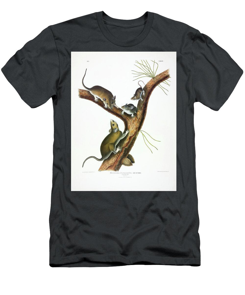 Florida Rat John James Audubon T-Shirt