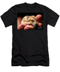 Fluffy Hamster in Hands Wernher Krutein T-Shirt
