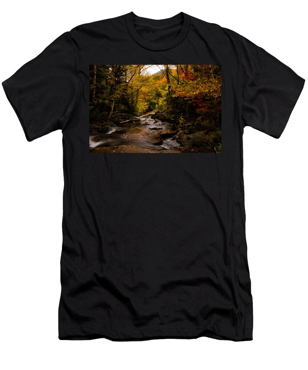 Follow the Fall Foliage Down Jeff Folger T-Shirt