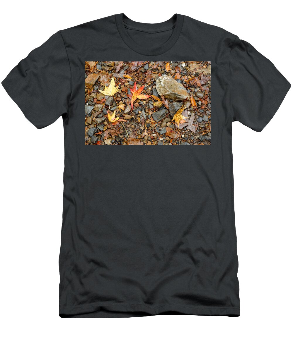 Forest Floor Beavers Bend State Park Oklahoma Silvio Ligutti T-Shirt