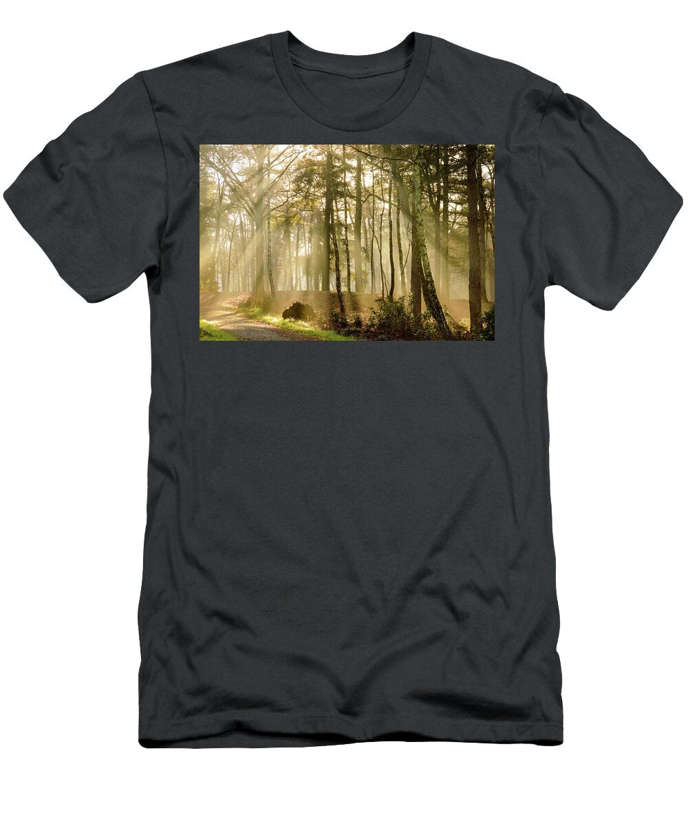 Forest Road Sunrays Johan Ferret T-Shirt
