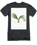 Freesia From Les Liliacees 1805 By Pierre Joseph Redoute 1759 1840 Les Classics T-Shirt