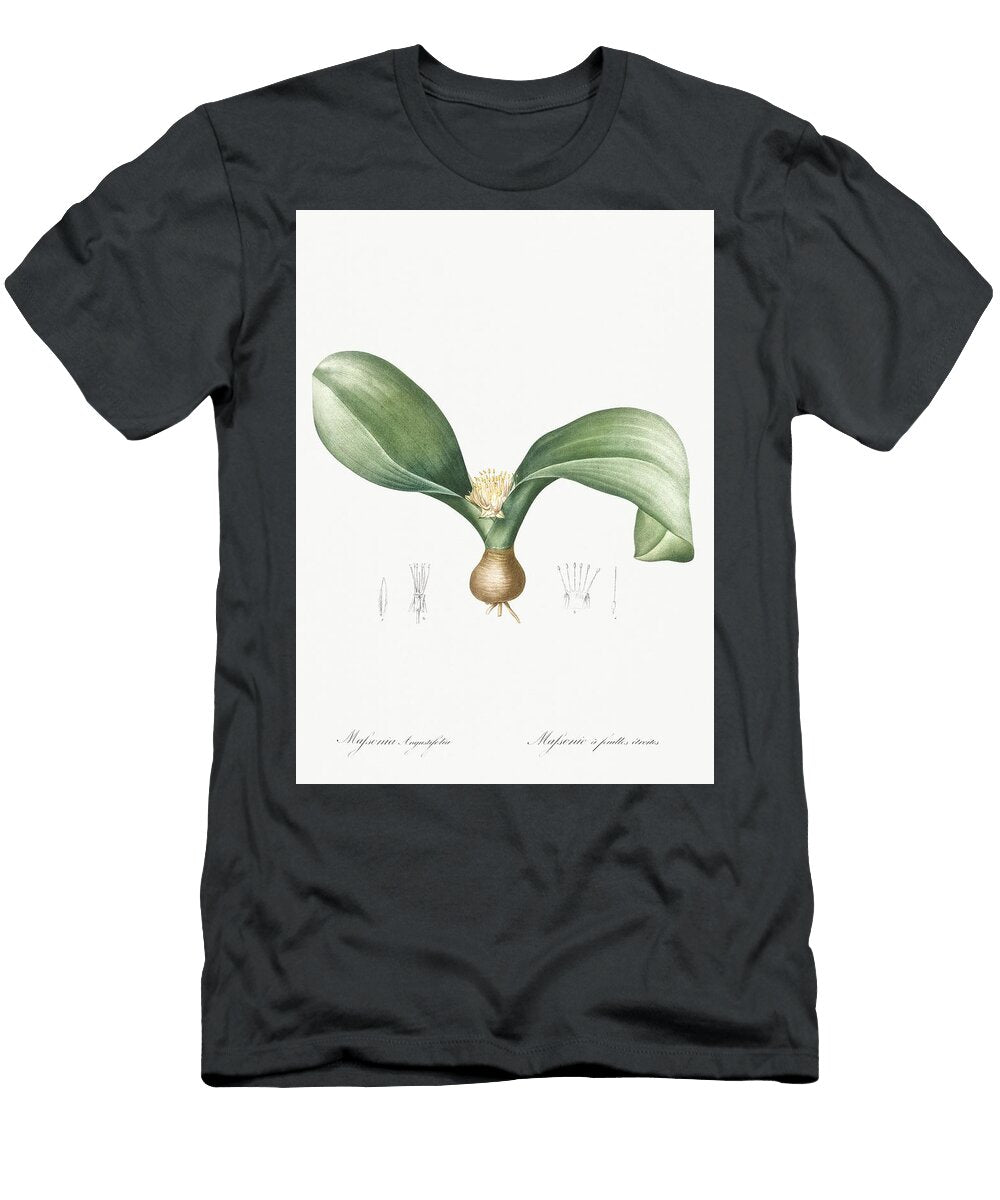 Freesia From Les Liliacees 1805 By Pierre Joseph Redoute 1759 1840 Les Classics T-Shirt