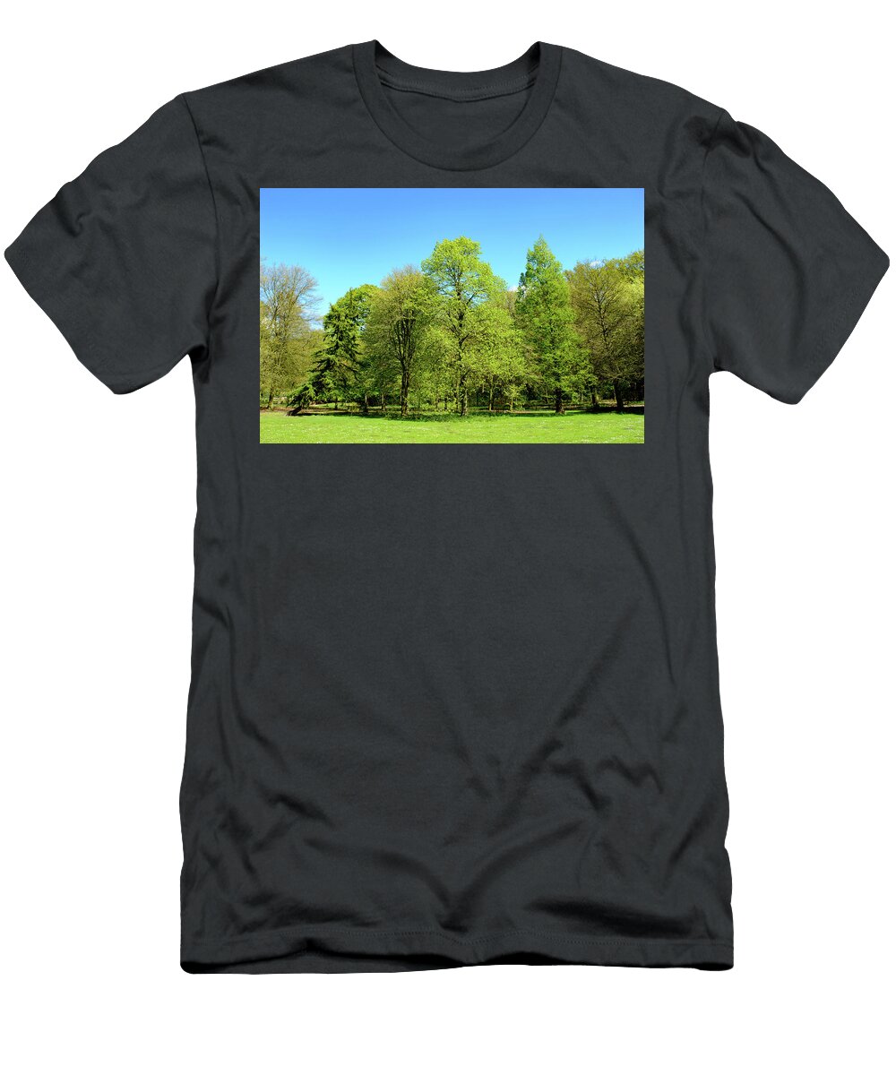 Fresh Green New Spring Foliage on Trees Johan Ferret T-Shirt
