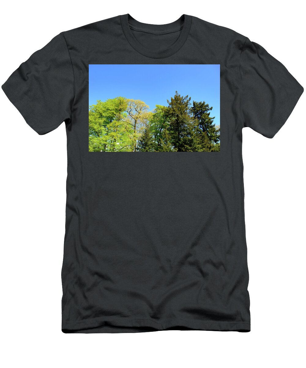 Fresh Green Spring Trees Against a Sunny Blue Sky Johan Ferret T-Shirt