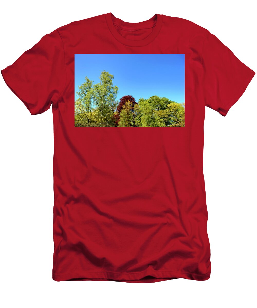 Fresh Green Spring Woodland in a Park Johan Ferret T-Shirt