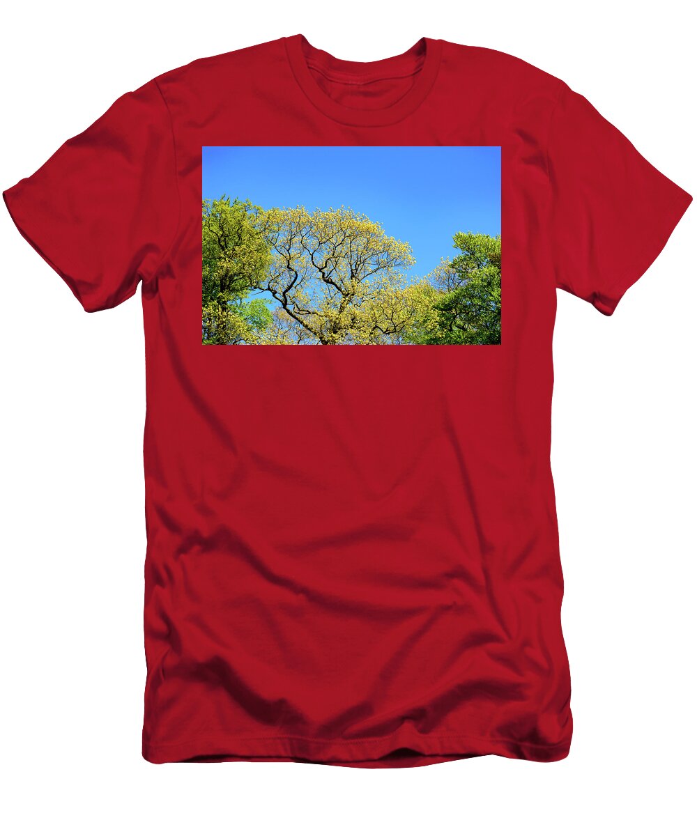 Fresh Spring Foliage on a Tree in a Park Johan Ferret T-Shirt